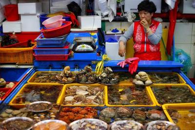 “魚去人空” 韓國(guó)海鮮市場(chǎng)遇冷，漁民憂心“飯碗”不保
