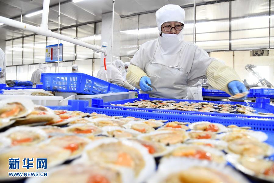 積極發展海洋食品加工產業，構建全產業鏈協同發展新格局