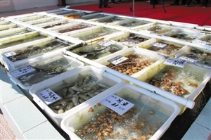 南澳海鮮餐廳推新模式 取消加工費(fèi)，強(qiáng)化銷售品質(zhì)承諾